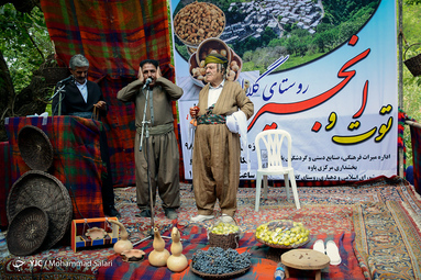 جشنواره توت و انجیر در روستای گردشگری گلال از توابع شهرستان پاوه استان کرمانشاه