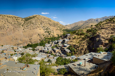 جشنواره توت و انجیر در روستای گردشگری گلال از توابع شهرستان پاوه استان کرمانشاه