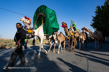 ورود نمادین کاروان امام حسین(ع) به دشت کربلا