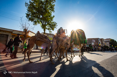 ورود نمادین کاروان امام حسین(ع) به دشت کربلا