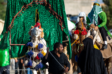 ورود نمادین کاروان امام حسین(ع) به دشت کربلا