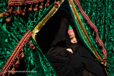 ورود نمادین کاروان امام حسین(ع) به دشت کربلا
