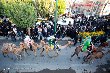 ورود نمادین کاروان امام حسین(ع) به دشت کربلا