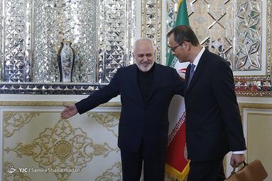 دیدار کورنل فروتا مدیر کل موقت آژانس بین‌المللی انرژی اتمی با محمد جواد ظریف وزیر امور خارجه