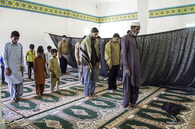 گروه جهادی عمار