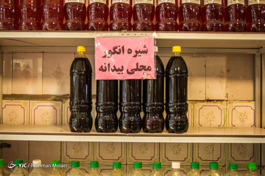 برداشت انگور در تاکستان قزوین به صورت دستی انجام می شود
