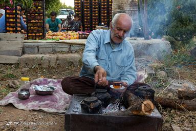 برداشت هلو در باغات سامان