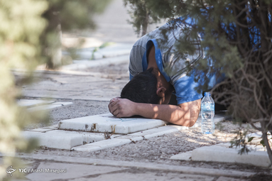 غبار روبی گلزار شهدا