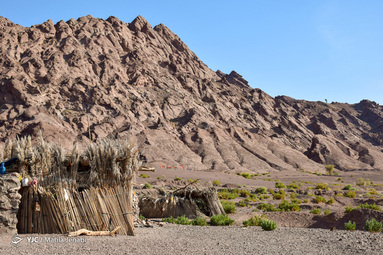 محرومیت در پتکی