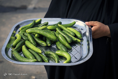 هلا بیکم یا زوار
