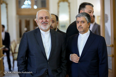 دیدار ظریف با وزیر آفریقای جنوبی