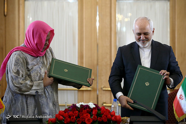 دیدار ظریف با وزیر آفریقای جنوبی