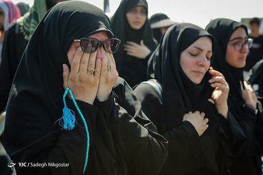 اولین سلام/ روایتی از اولین سلام و نگاه بر گنبد بارگاه مطهر سیدالشهدا و علمدار کربلا در روی پل میثم تمار