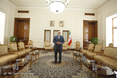 دیدار خداحافظی سفیر پاکستان با  ظریف