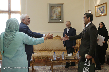 دیدار خداحافظی سفیر پاکستان با  ظریف