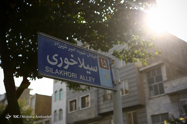 شاهدان کوچه ما