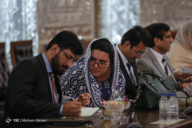 دیدار گروه دوستی پاکستان با علی لاریجانی