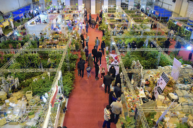 نمایشگاه گل و گیاه کرمان
