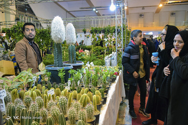 نمایشگاه گل و گیاه کرمان