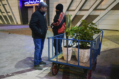 نمایشگاه گل و گیاه کرمان