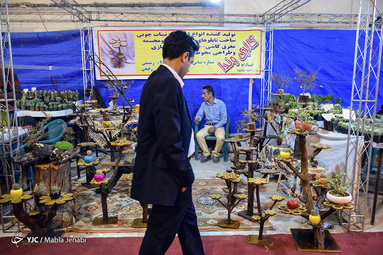 نمایشگاه گل و گیاه کرمان