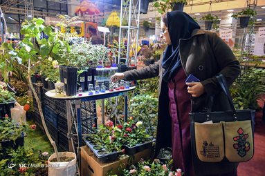 نمایشگاه گل و گیاه کرمان