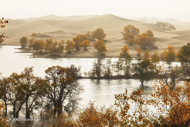 پاییز در جهان