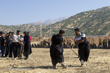 جشنواره رنگ‌ها در عروسی بختیاری