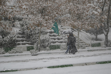 اولین برف پاییزی در تهران