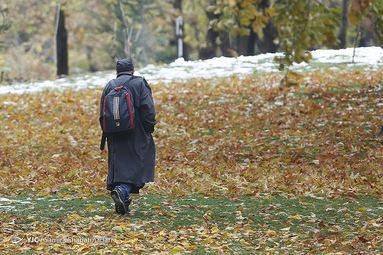 تهران در آرامش
