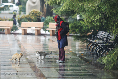 تهران در آرامش
