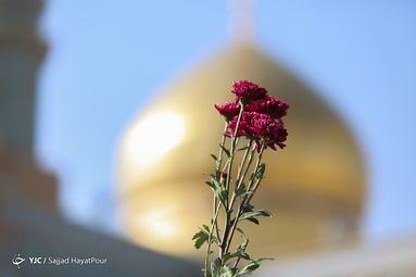 راسم استقبال از کاروان نمادین حضرت معصومه سلام الله علیها در قم
