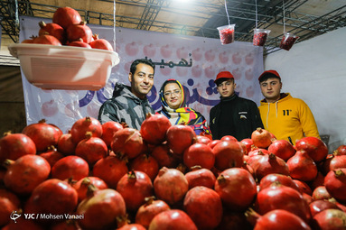 انار «یاقوت بهشت»