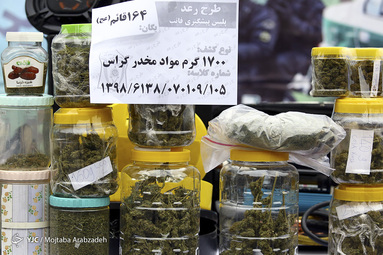 طرح «رعد ۳۱» پلیس پیشگیری پایتخت