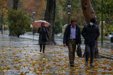 باران پاییزی