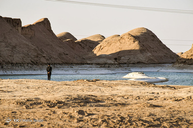«رویش زندگی در کویر»