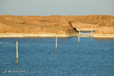 «رویش زندگی در کویر»