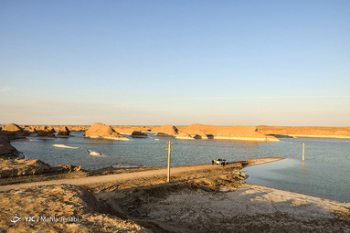 «رویش زندگی در کویر»