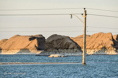 «رویش زندگی در کویر»