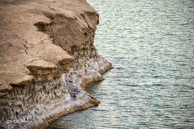 «رویش زندگی در کویر»