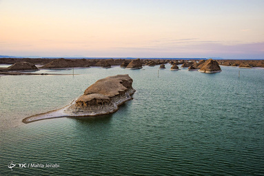 «رویش زندگی در کویر»