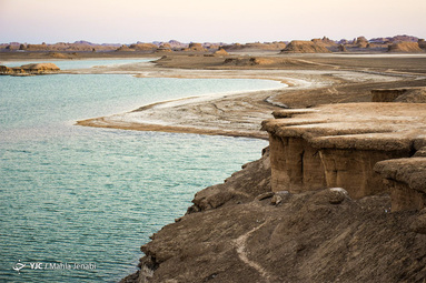 «رویش زندگی در کویر»