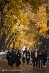 پاییز در چهارباغ اصفهان
