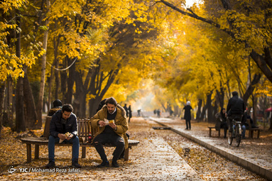 پاییز در چهارباغ اصفهان