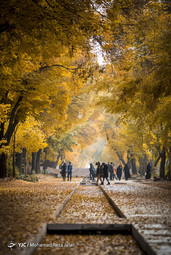پاییز در چهارباغ اصفهان