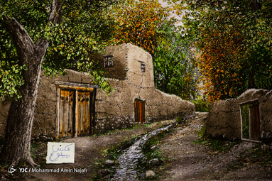 شانزدهمین نمایشگاه فرش دستباف همدان