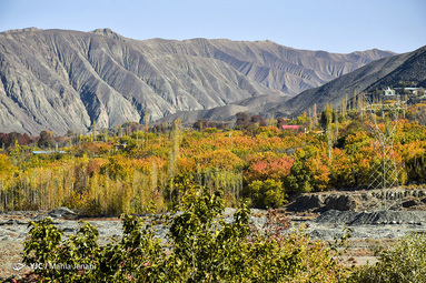 «موسیقی رنگ ها»