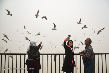 اهواز در مه