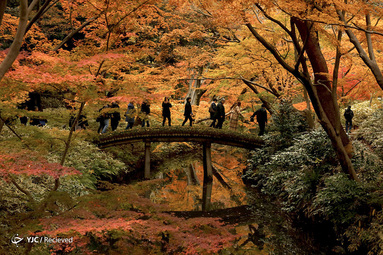 باغ Rikugien ، در منطقه Bunkyo در توکیو