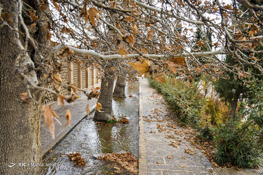 پاییز باغ شاهزاده ماهان
